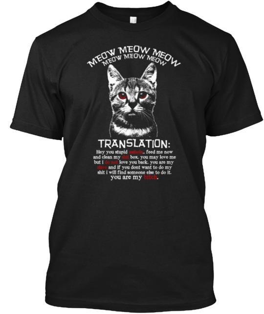 Meow Translation Funny T-Shirt