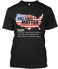 Just Another Beer Drinker Camping Problem T-Shirt